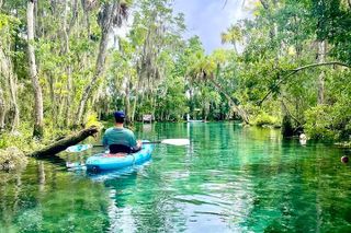 Crystal River Single Kayak Rental | 3 Hour | See The Manatees!
