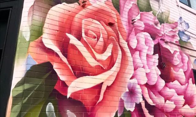 Piano Piano Mount Pleasant