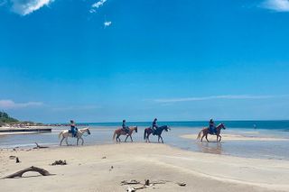 Guided Horseback Riding on The Pristine Waters of Miami Florida