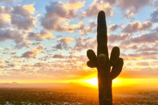 Spectacular Sunrise Guided Hike in Phoenix, Arizona