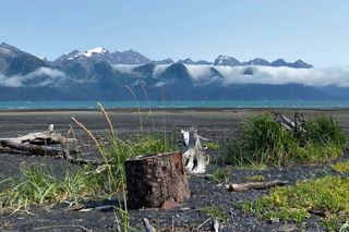 Tonsina Beach Hike with Alaska Guided Hikes