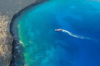 Molokini Crater Snorkeling Trip 2-Hour 10:30am Start