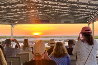 Sunset Wildlife Cruise along Assateague & Chincoteague Island