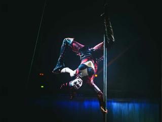 Cirque du Soleil: Drawn to Life