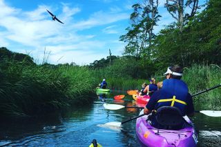 Kayak The Creek Nature Tour