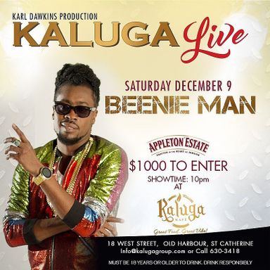 Kaluga Live 
