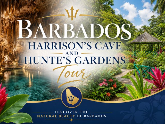 Barbados: Harrison's Cave & Hunte's Gardens Tour 2026