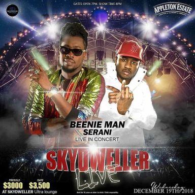 SkyDweller Live