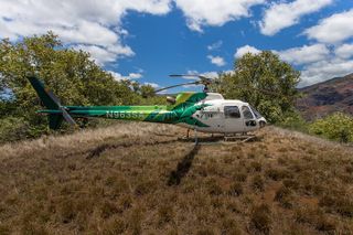 Kauai' Exclusive Helicopter Tour: JURASSIC CANYON LANDING