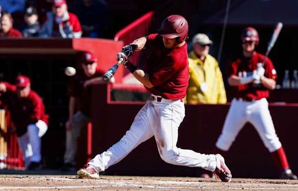 Clemson Tigers at South Carolina Gamecocks Baseball