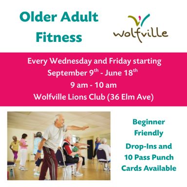 Older Adult Fitness