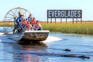 Everglades Airboat Tour with Port or South Beach