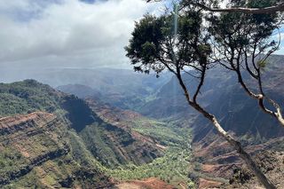 Private Kauai Highlights- Featuring Waimea Canyon
