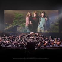 Harry Potter In Concert
