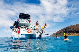 Small-Group Dolphin Turtle & Whale Safari w/ Marine Biologists