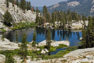 Soccer Fans 2026: Yosemite & Kings Canyon NP 2-Day Tour from LA