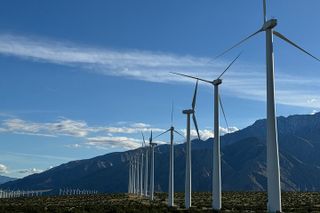 Palm Springs Windmill Guided Tour by Golf Cart