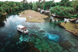 Snorkel The Amazing Rainbow River Florida