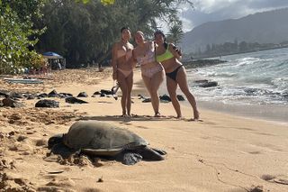 Oahu Family Adventure: Circle Island Tour + Historic Pali Lookout