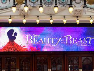 Disney Beauty and the Beast