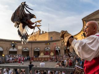 Palio del daino. Historical Festival