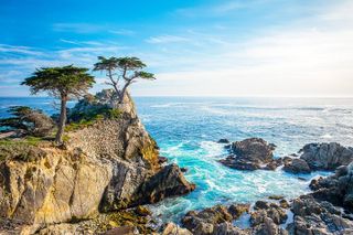 San Francisco, Yosemite & 17-Mile Drive 3-Day Tour from LA