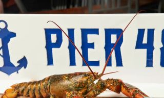 Pier 48 Fish House & Oyster Bar - Downtown INDY