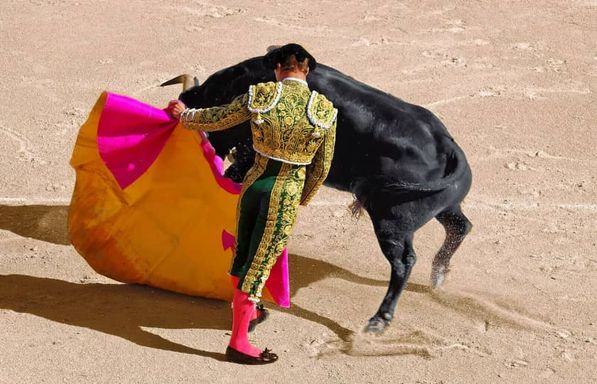 Ultimate Bullfighters: Last Man Standing Las Vegas