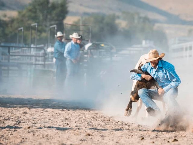 Canadian Finals Rodeo