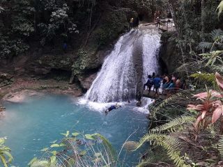 Ocho Rios Blue Hole and Dunn's River Falls Tour