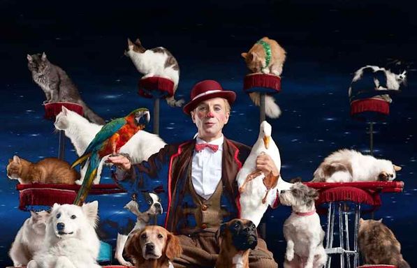 Popovich Comedy Pet Theatre