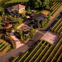 DANCIN Vineyards