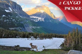 Grand Teton, Yellowstone, and Glacier National Parks 8-Day Tour