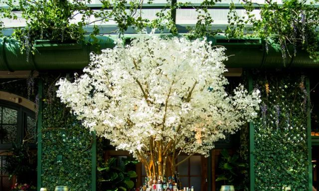 The Garden Room