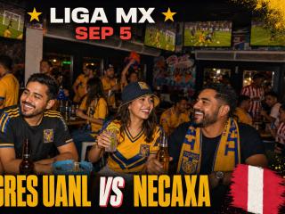 Tigres UANL vs Necaxa