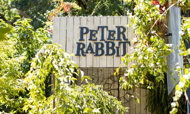 Peter Rabbit