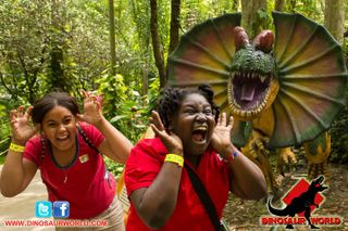 Dinosaur World Glen Rose