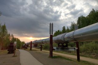 Fairbanks City Highlight Tour