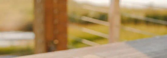 The White Marlin and Oysterette