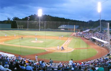 Charleston Riverdogs at Myrtle Beach Pelicans
