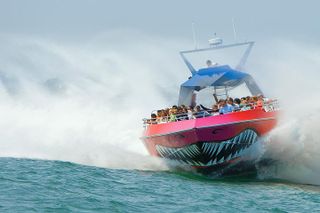 City Cruises Boston Codzilla High-Speed Thrill Boat Ride