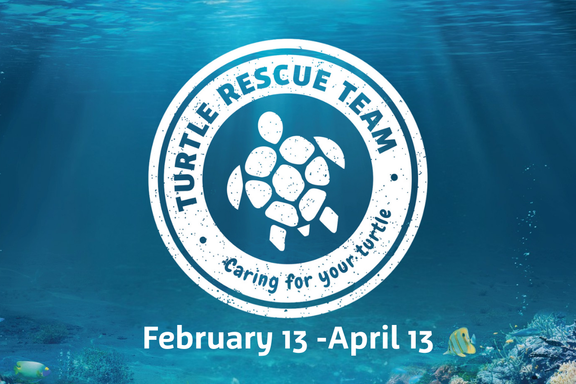 Turtle Rescue Team Event