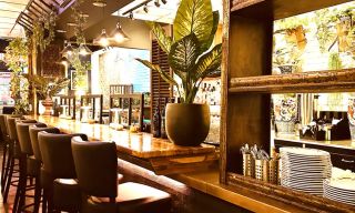 Top Burmese Burma Joy