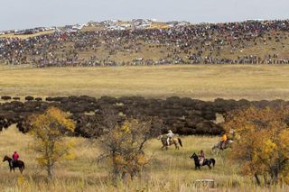 2026 - Sept 25th - Custer Buffalo Roundup and Corrals