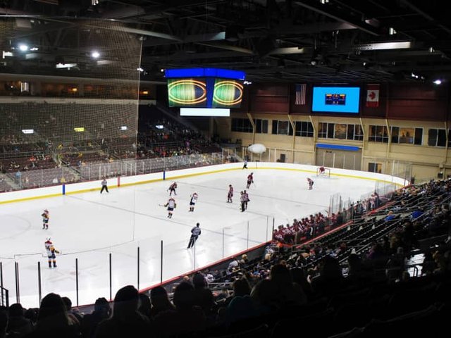 Guelph Storm at Niagara Icedogs