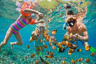 Oahu Circle Island Snorkeling Tour: Dole, Pali Lookout & More