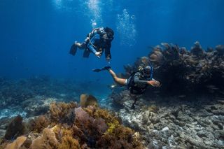 Key Largo Discover Scuba Diving Experience (No Experience Needed)