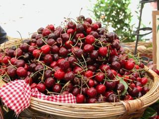 Lari Cherry Festival