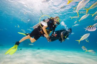 Try Scuba Diving in Key Largo — Small Group, Max 4 Students