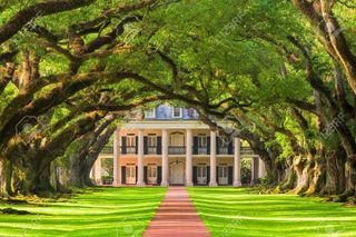 Oak Alley Plantation and Airboat Combo Tour